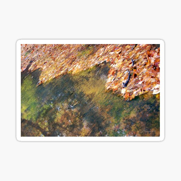 Monet's Mirror Sticker