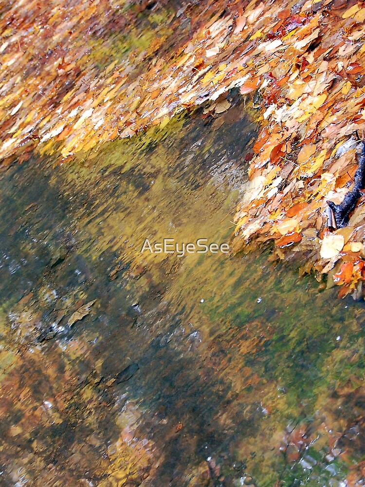 Monet's Mirror by AsEyeSee