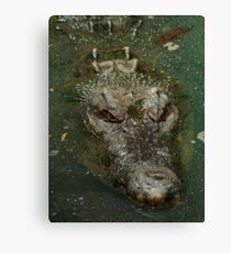 Swamp Dragon Canvas Print