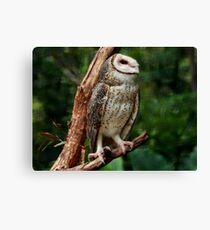 Freedom in Sight Canvas Print