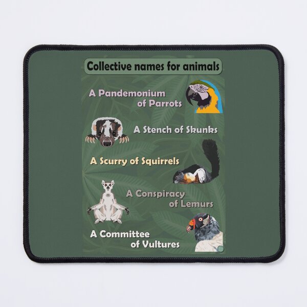 Item preview, Collective names for animals 4 designed and sold by GeoCreate.