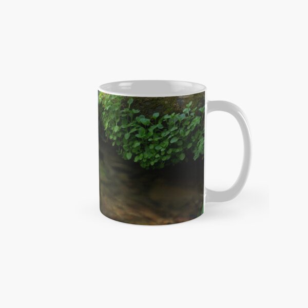 The Poetry of Nature Classic Mug