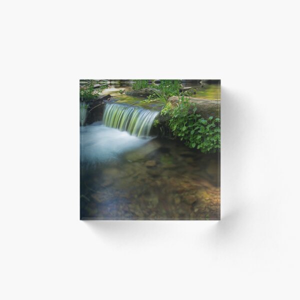 The Poetry of Nature Acrylic Block