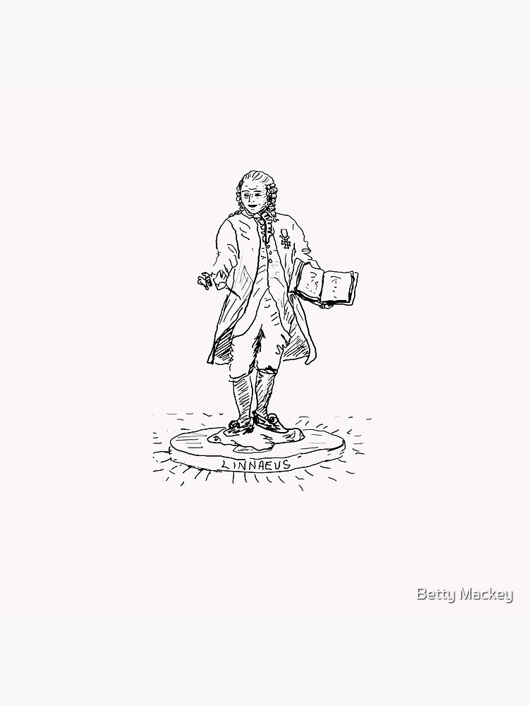 Thumbnail 4 of 4, Clock, Linnaeus designed and sold by Betty Mackey.