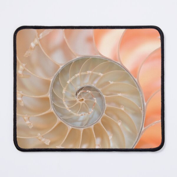 Item preview, Shell cross section fractal spiral in soft pastel pink and cream tones designed and sold by Orianah.