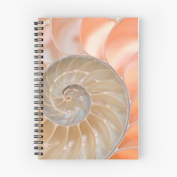 Item preview, Shell cross section fractal spiral in soft pastel pink and cream tones designed and sold by Orianah.