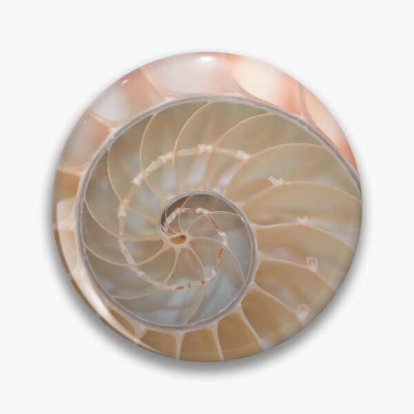 Item preview, Shell cross section fractal spiral in soft pastel pink and cream tones designed and sold by Orianah.