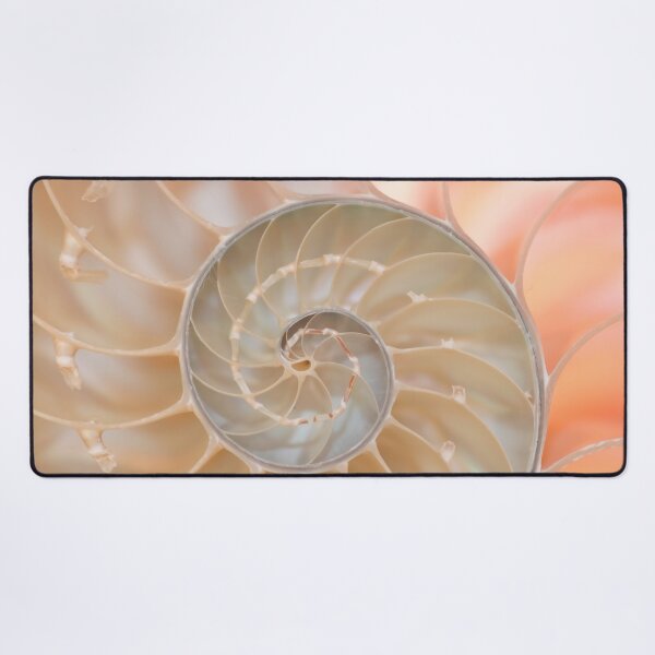 Item preview, Shell cross section fractal spiral in soft pastel pink and cream tones designed and sold by Orianah.