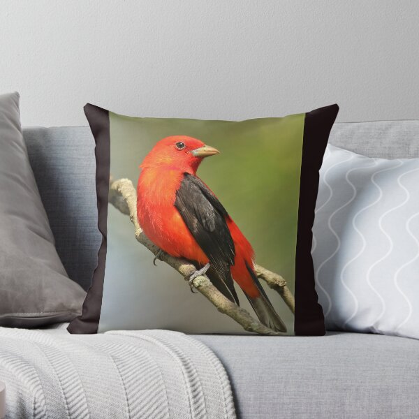 Scarlet Tanager Throw Pillow