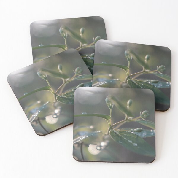 Item preview, Raindrops on Leaves in the Morning Light designed and sold by Nalinne Jones.