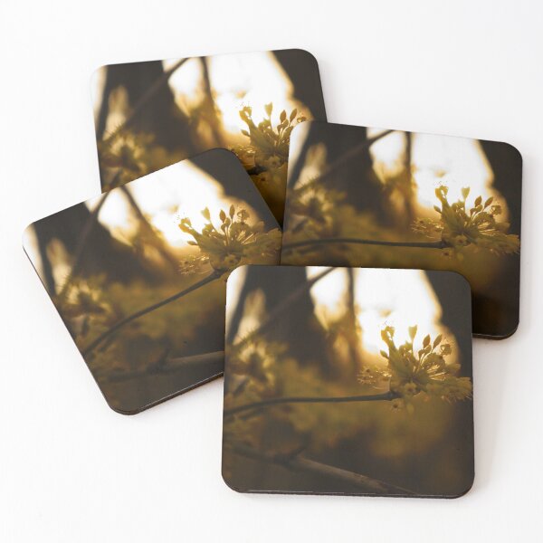 Item preview, First Bloom Yellow Flower designed and sold by Nalinne Jones.