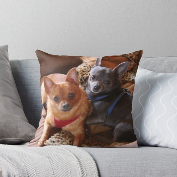 Item preview, Father and Son--Too Cute! designed and sold by IrishEyesMrsZ.