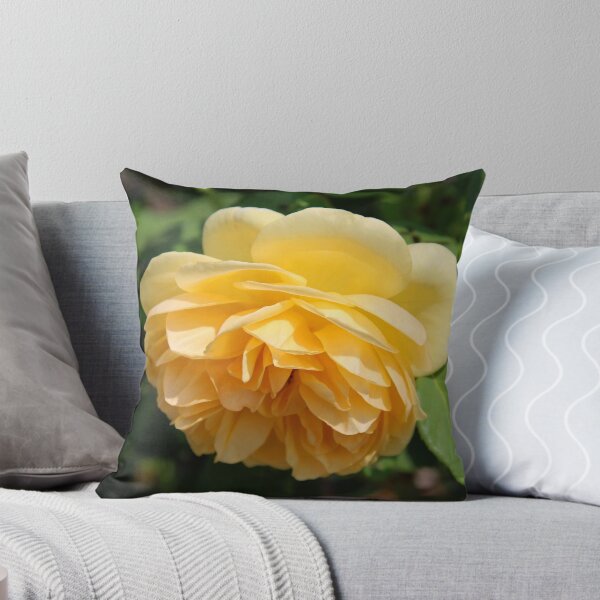 Item preview, Prized Wonder designed and sold by Michiale.
