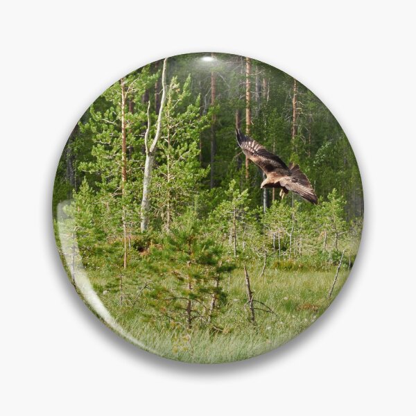 Item preview, Beware of the Black kite designed and sold by Jouko Lehto Photography.