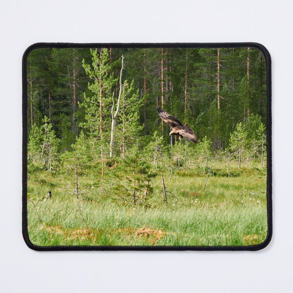 Item preview, Beware of the Black kite designed and sold by Jouko Lehto Photography.