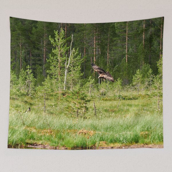 Item preview, Beware of the Black kite designed and sold by Jouko Lehto Photography.
