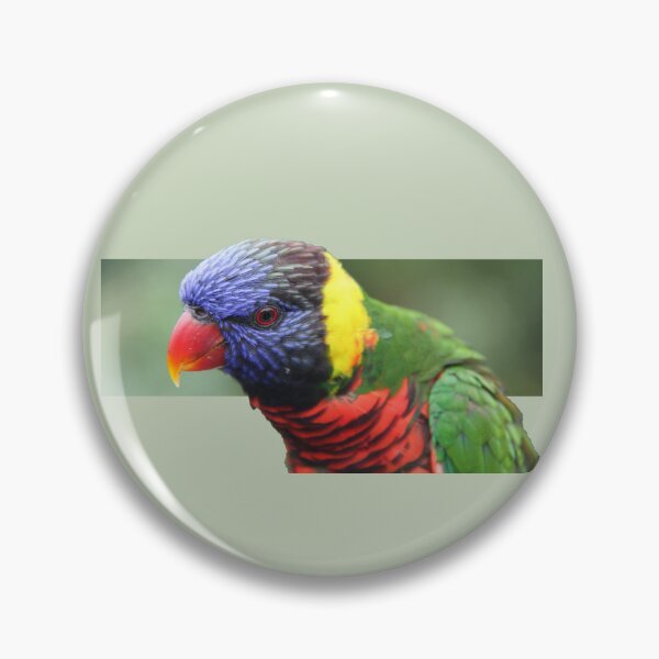 Item preview, Rainbow lorikeet designed and sold by indiafrankk.
