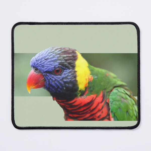 Item preview, Rainbow lorikeet designed and sold by indiafrankk.