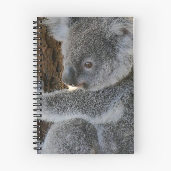 Item preview, Koala designed and sold by heidiypi1.