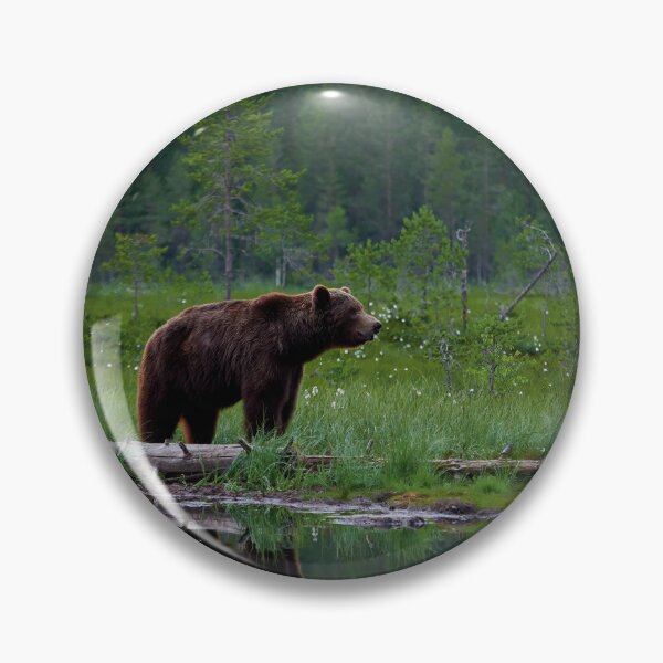Item preview, The dark prince. Brown bear designed and sold by Jouko Lehto Photography.