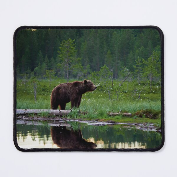 Item preview, The dark prince. Brown bear designed and sold by Jouko Lehto Photography.