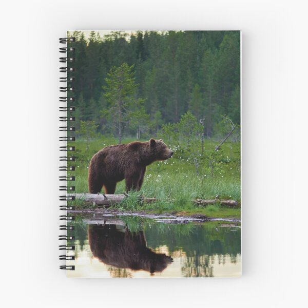 Item preview, The dark prince. Brown bear designed and sold by Jouko Lehto Photography.