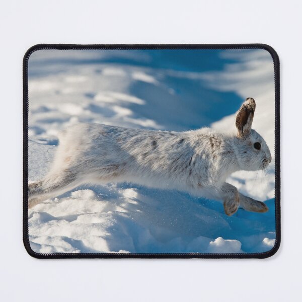 Item preview, Snow Shoe Hare designed and sold by Michael Cummings.