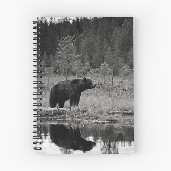 Item preview, The dark prince. Brown bear bw designed and sold by Jouko Lehto Photography.