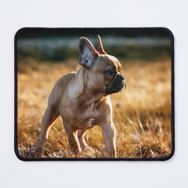 Item preview, french bulldog puppy designed and sold by Nebulae-Art.