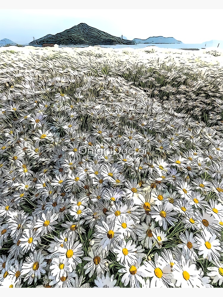 "Daisy Flower Field in Japan " Poster for Sale by OnigiriDoctor Redbubble