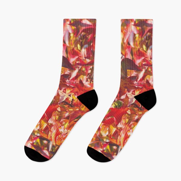 Item preview, Beautiful autumn colour patterns will brighten your day by Faelee designed and sold by Faelee.