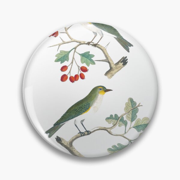 Item preview, Green wrens  designed and sold by Lloyd Library & Museum.