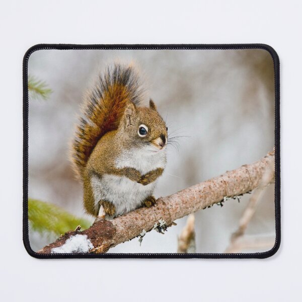 Item preview, Red Squirrel designed and sold by Michael Cummings.