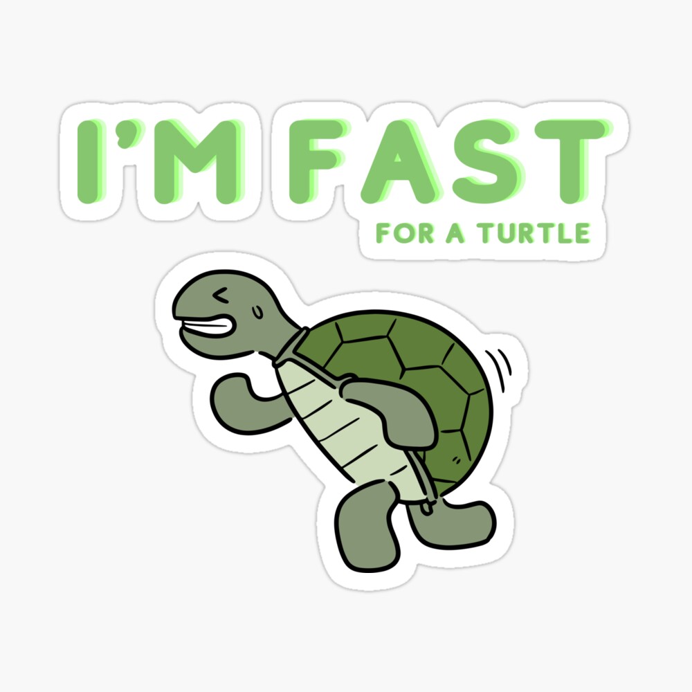 Fast Turtle