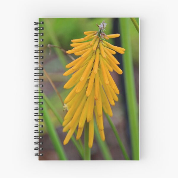 Item preview, Sizzling in Saffron designed and sold by Michiale.