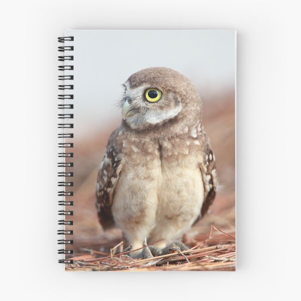 Item preview, Owlet designed and sold by mlorenz.