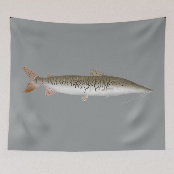 Item preview, Tiger Shovelnose Catfish designed and sold by fishfolkart.