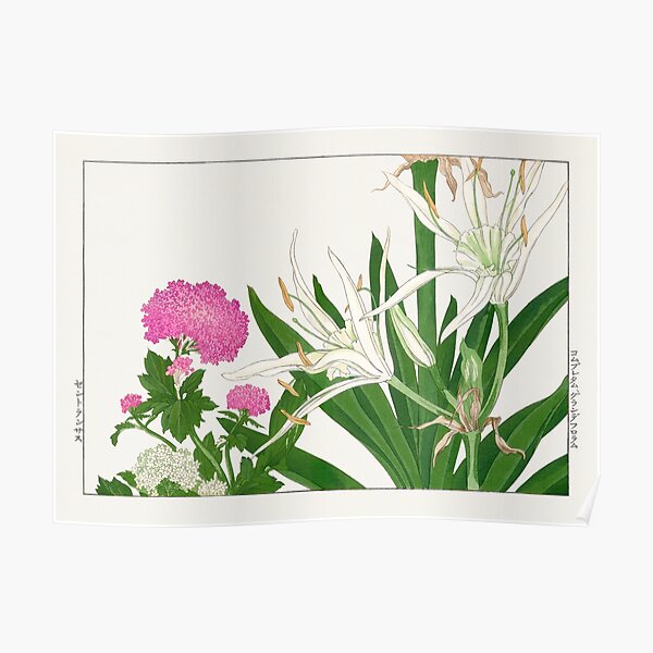 "Beautiful flower pattern and poster for your home and bedroom" Poster
