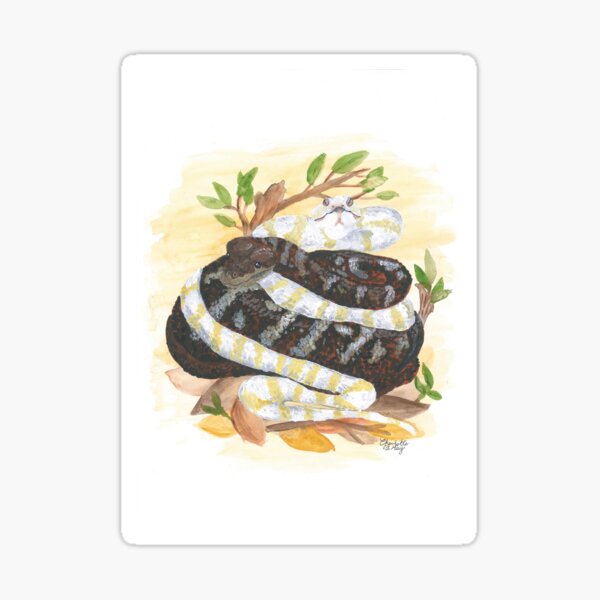 Python Gifts & Merchandise | Redbubble