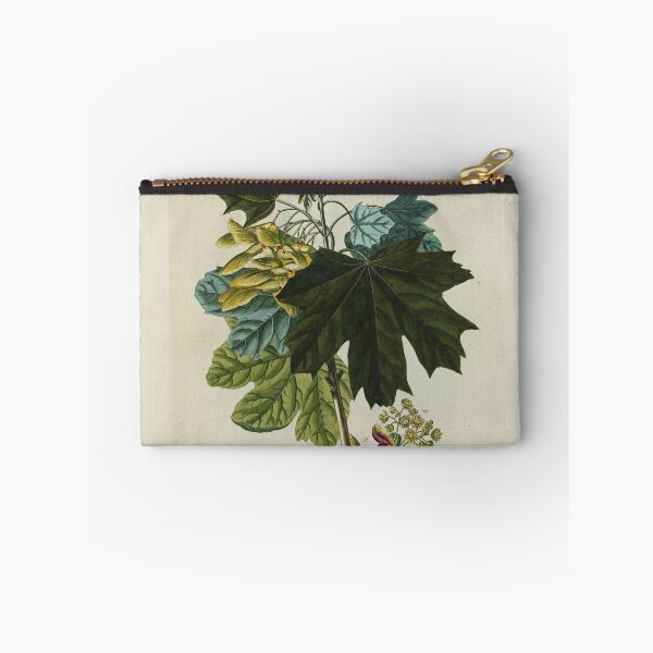 Item preview, Acer from Plantae Selectae designed and sold by Lloyd Library & Museum.