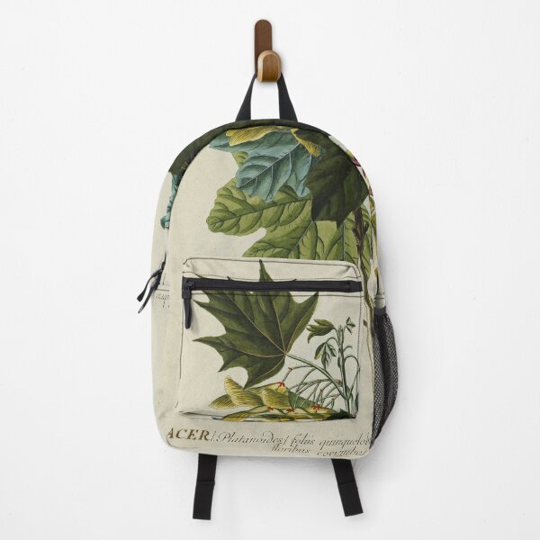 Item preview, Acer from Plantae Selectae designed and sold by Lloyd Library & Museum.