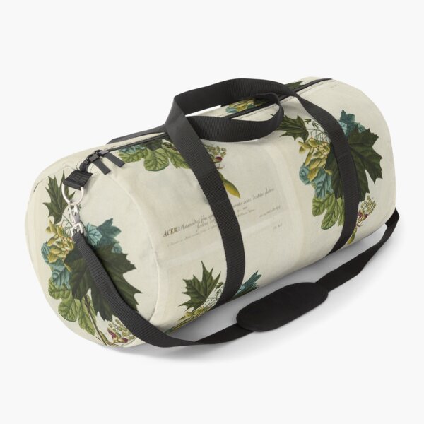 Item preview, Acer from Plantae Selectae designed and sold by Lloyd Library & Museum.