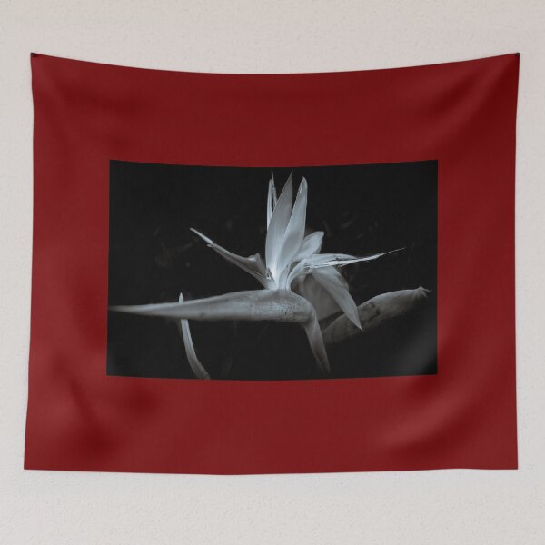Item preview, A Bird of Paradise - home for an Ant designed and sold by Clare Colins.