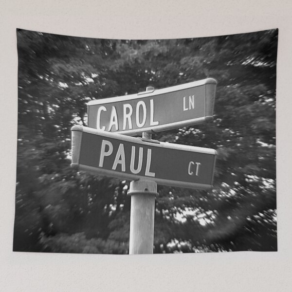 Item preview, A Street Sign for Carol and Paul designed and sold by jcwest.
