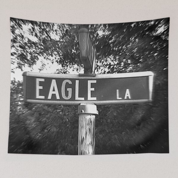 Item preview, Watch out for that Eagle..Street Sign designed and sold by jcwest.