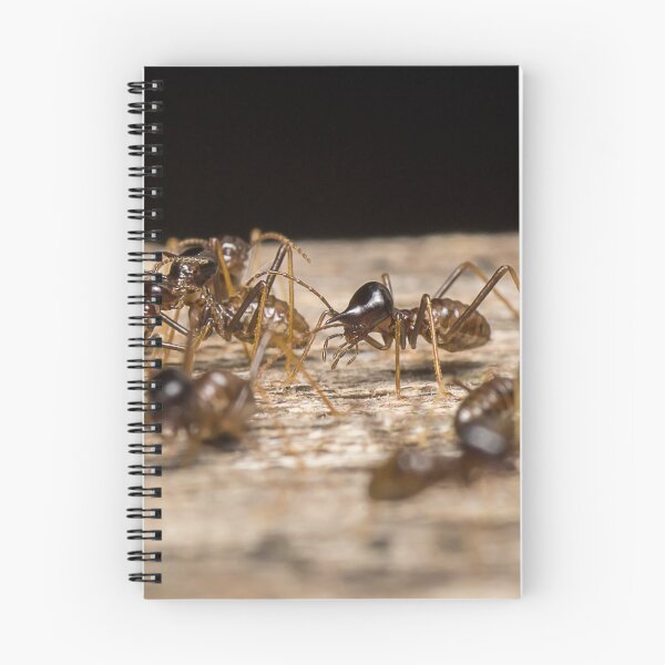 Item preview, Unique and organic photo of a colony of conehead termites designed and sold by AvonPerception.