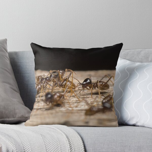 Item preview, Unique and organic photo of a colony of conehead termites designed and sold by AvonPerception.
