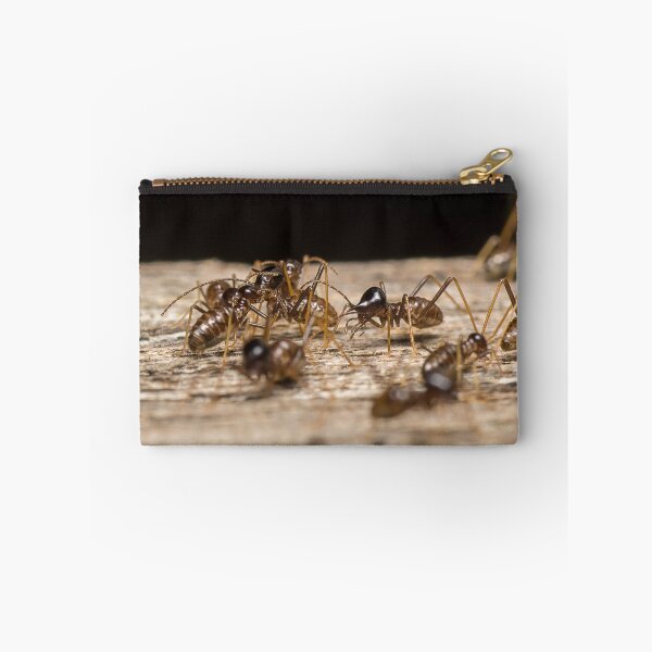 Item preview, Unique and organic photo of a colony of conehead termites designed and sold by AvonPerception.