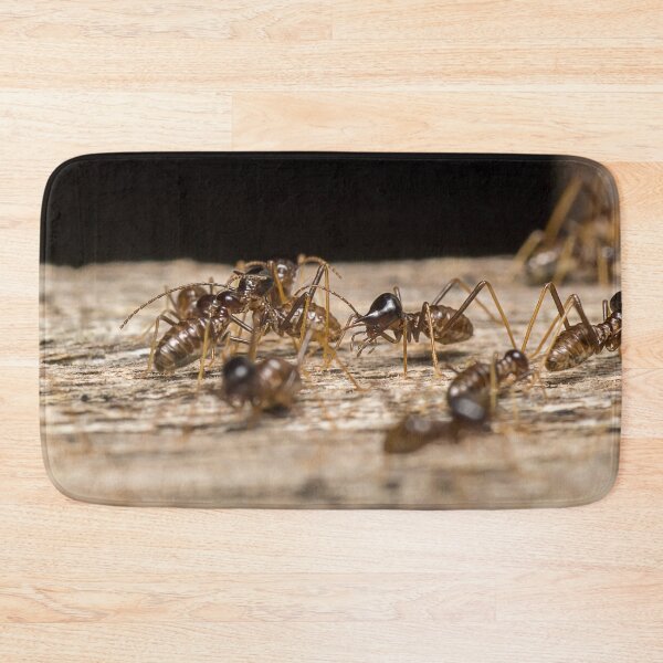 Item preview, Unique and organic photo of a colony of conehead termites designed and sold by AvonPerception.
