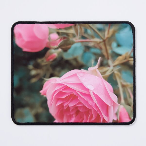 Item preview, Vintage pink wild rose with turquoise leaves designed and sold by Photostacia.